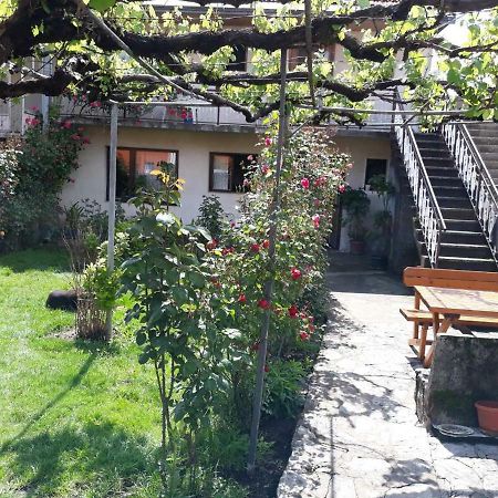 Apartment Dejan Cetinje Exteriér fotografie