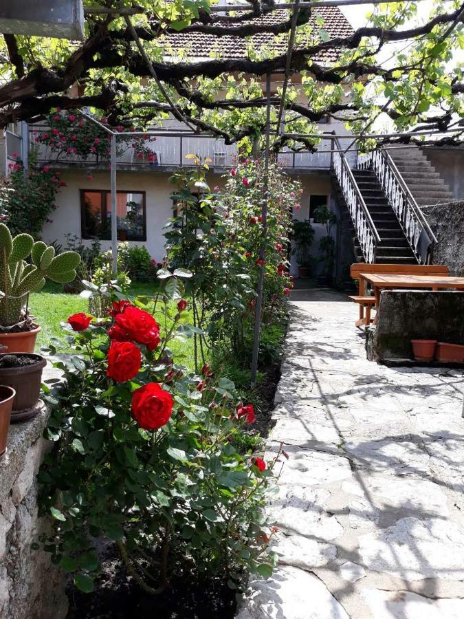 Apartment Dejan Cetinje Exteriér fotografie