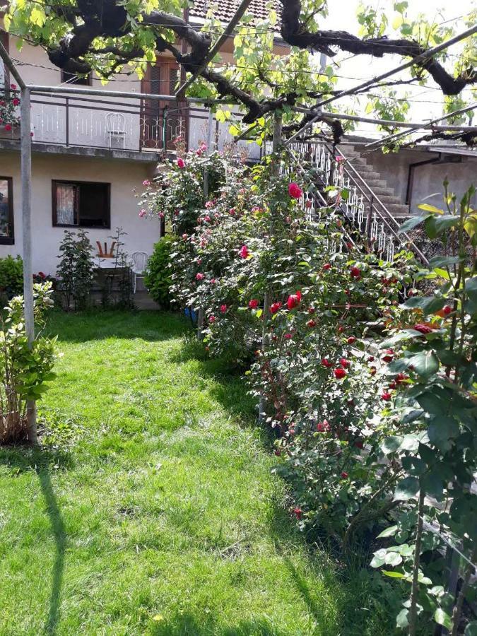 Apartment Dejan Cetinje Exteriér fotografie