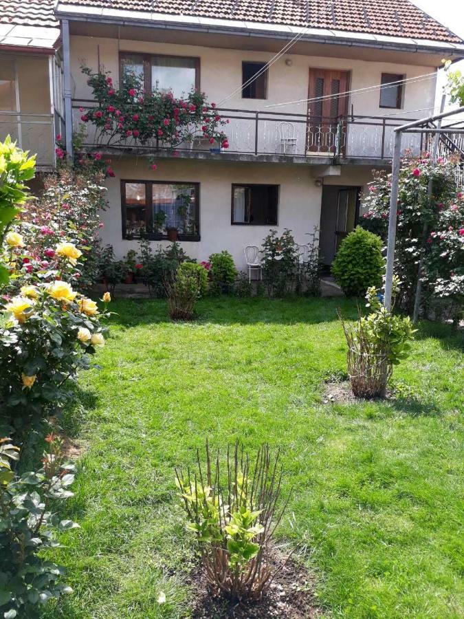 Apartment Dejan Cetinje Exteriér fotografie